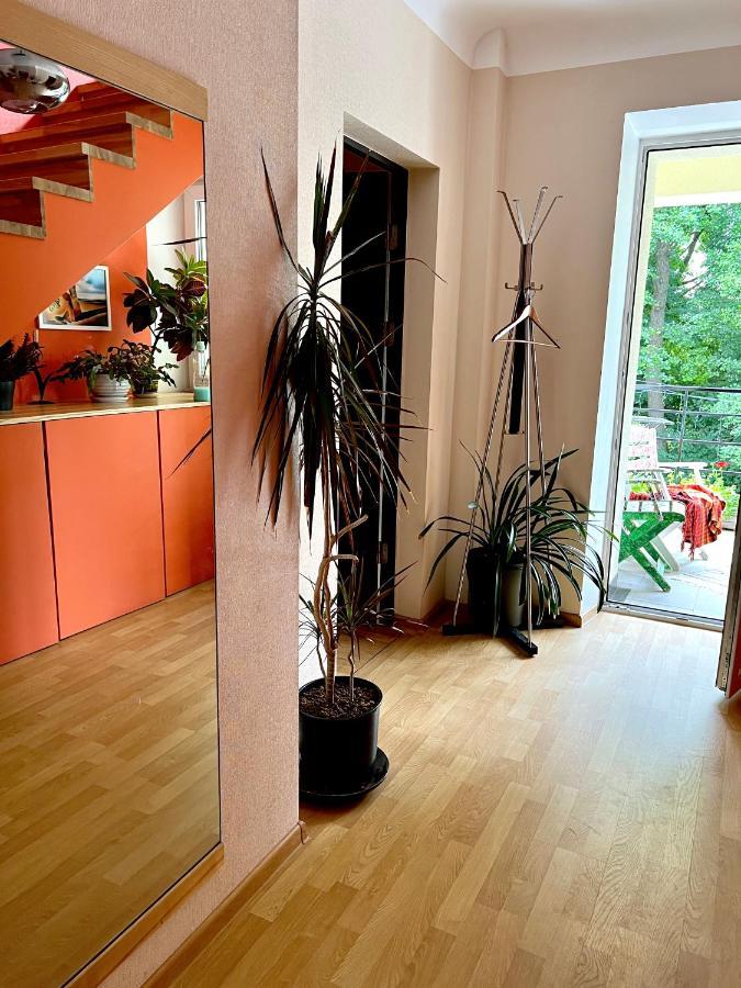 Studio Apartment And Free Airport Transfer Riga Eksteriør bilde