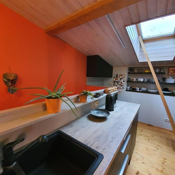 Studio Apartment And Free Airport Transfer Riga Eksteriør bilde