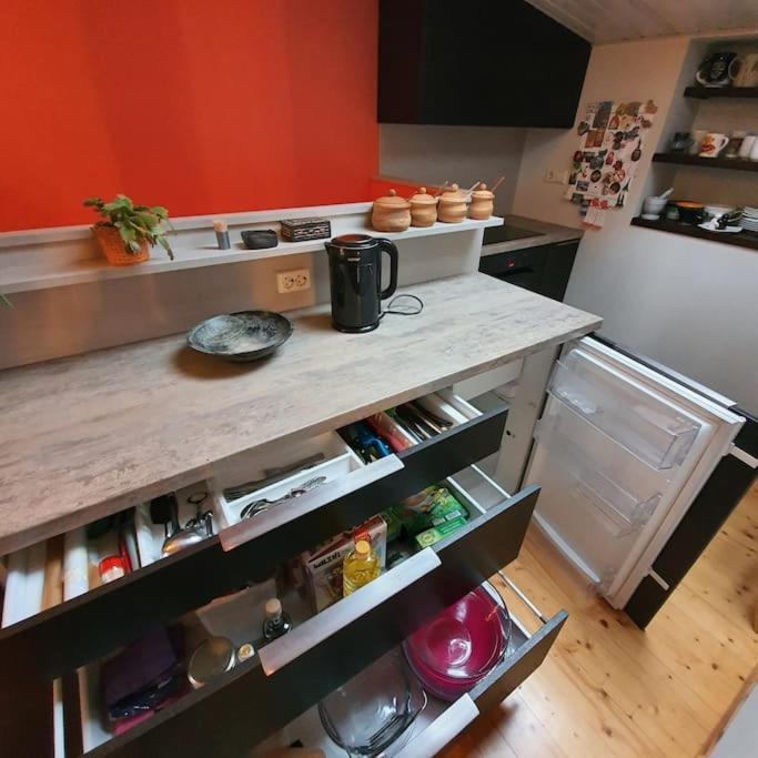 Studio Apartment And Free Airport Transfer Riga Eksteriør bilde